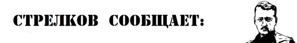Official "Strelkov Reports" Banner