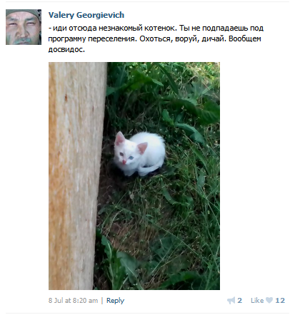 Kitty-Valery-Grigoryevich.png