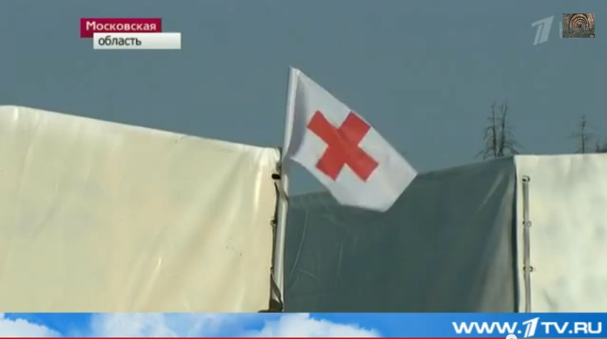 Flag-described-as-ICRC.jpg
