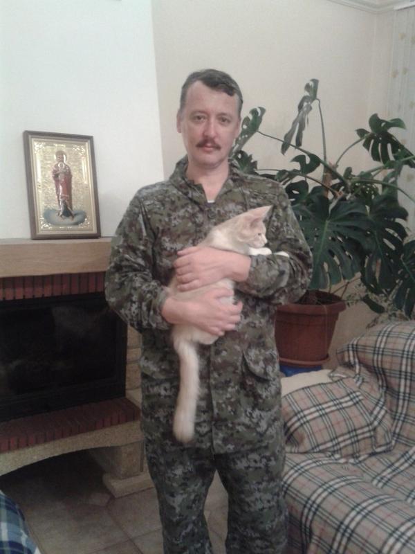 Strelkov-kitty.jpg