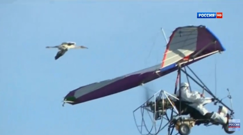 Crane-Flying.jpg